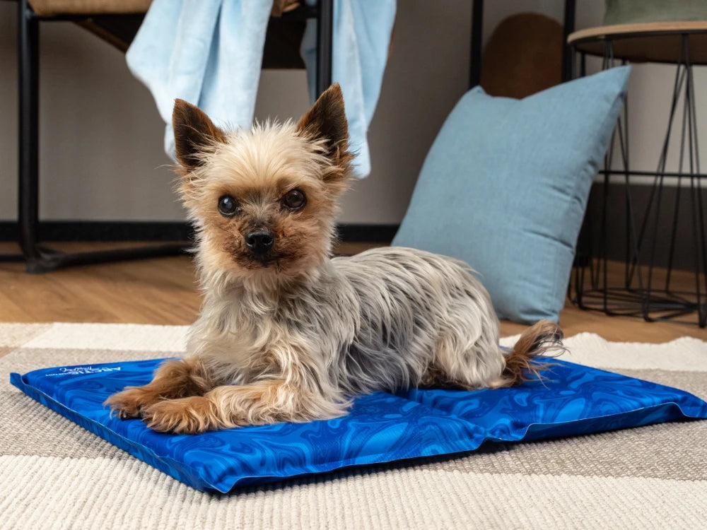 TrendPet Arctic Comfort Kühlmatte Blau gemustert