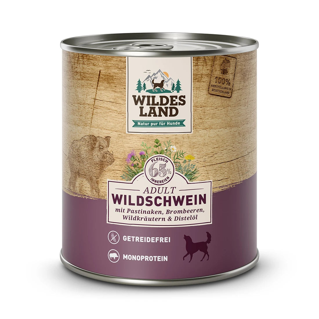 Wildes Land Wildschwein mit Pastinake