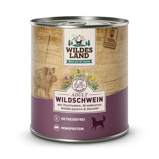 Wildes Land Wildschwein mit Pastinake