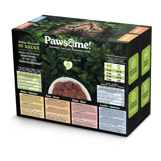 Pawsome Multipack I 12x85g