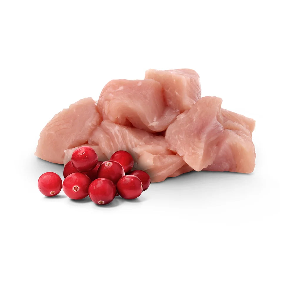Pawsome Junior Pute 85g