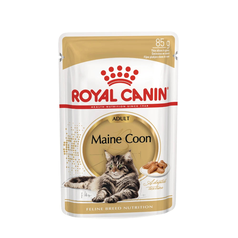 ROYAL CANIN MAINE COON ADULT in Soße 85g