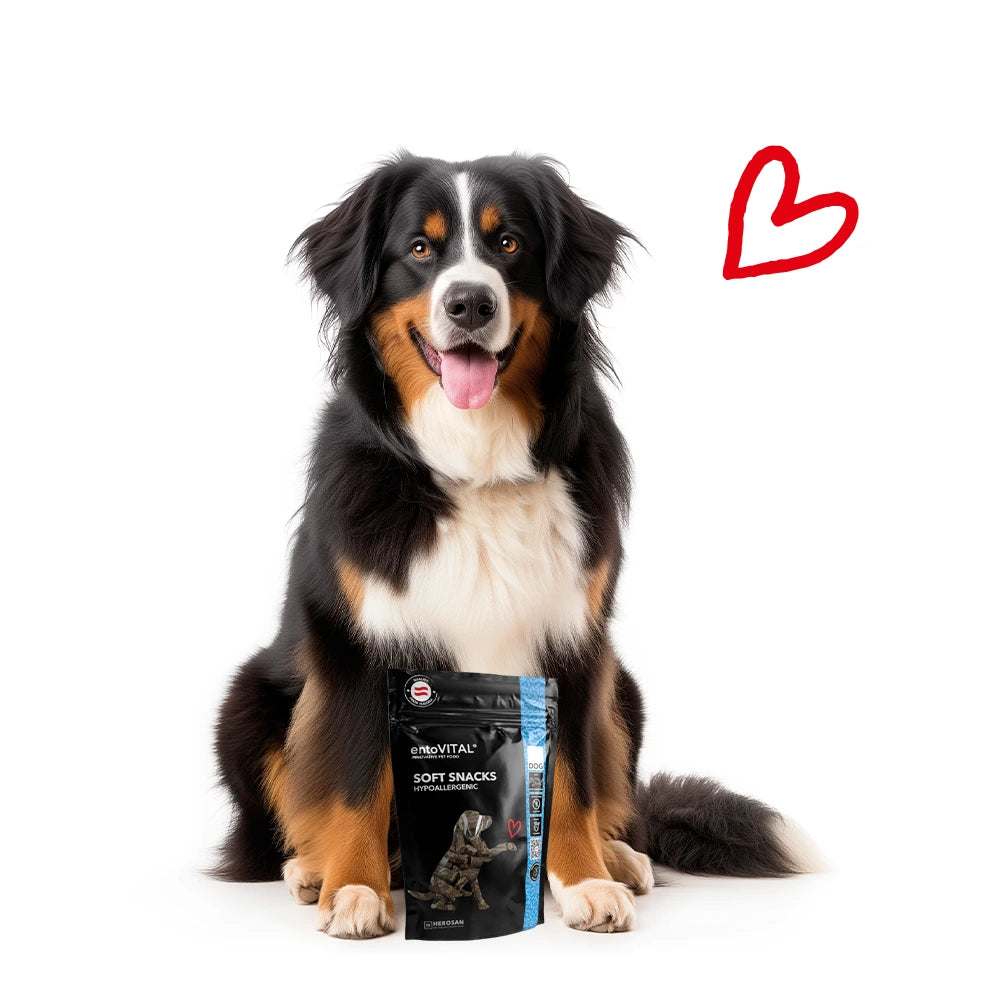 Hersoan entoVITAL Soft Snacks hypoallergenic DOG 100g