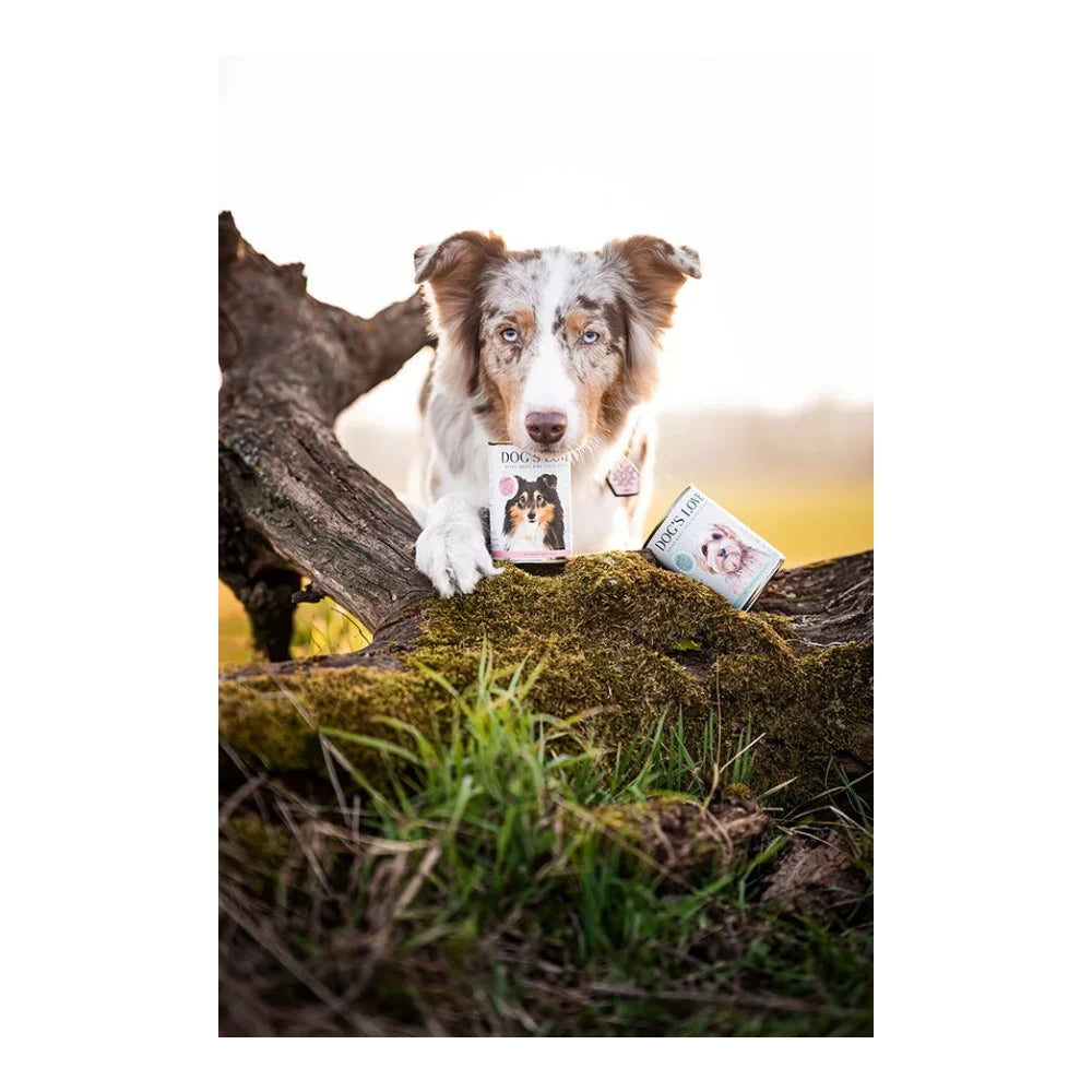 DOG'S LOVE ADULT Hypoallergen Ente 400g