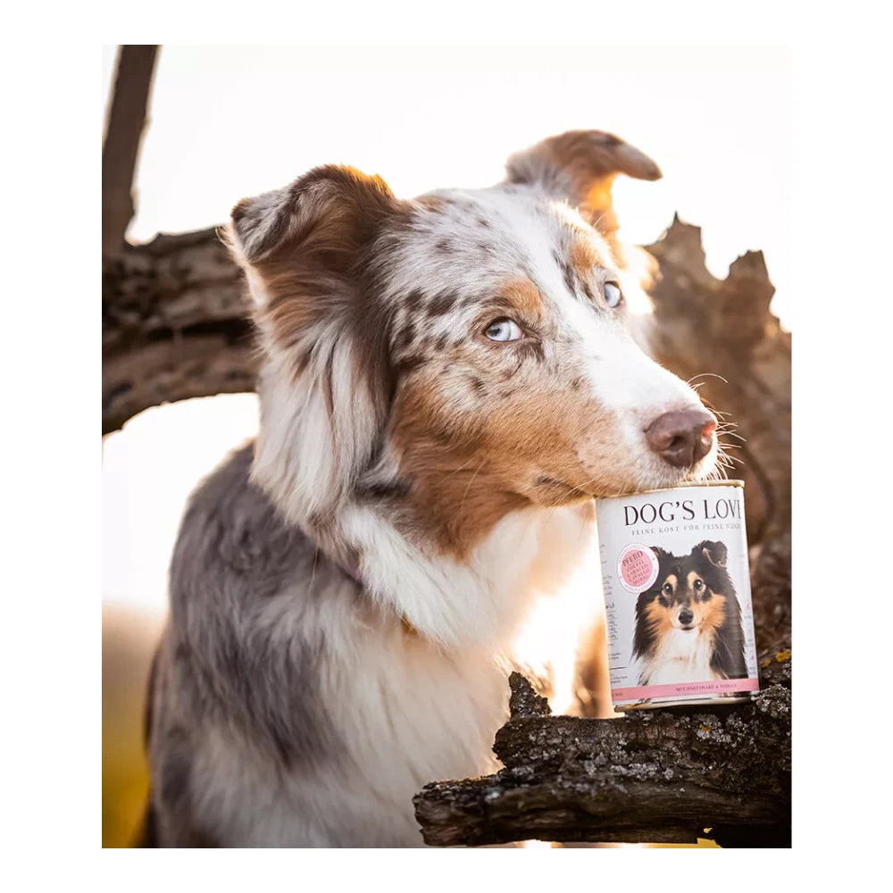 DOG'S LOVE ADULT Hypoallergen Pferd 400g
