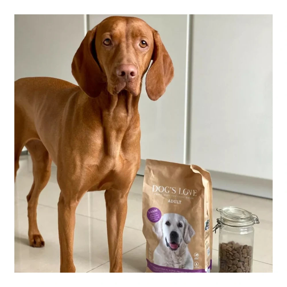 DOG'S LOVE TROCKEN Adult Lamm