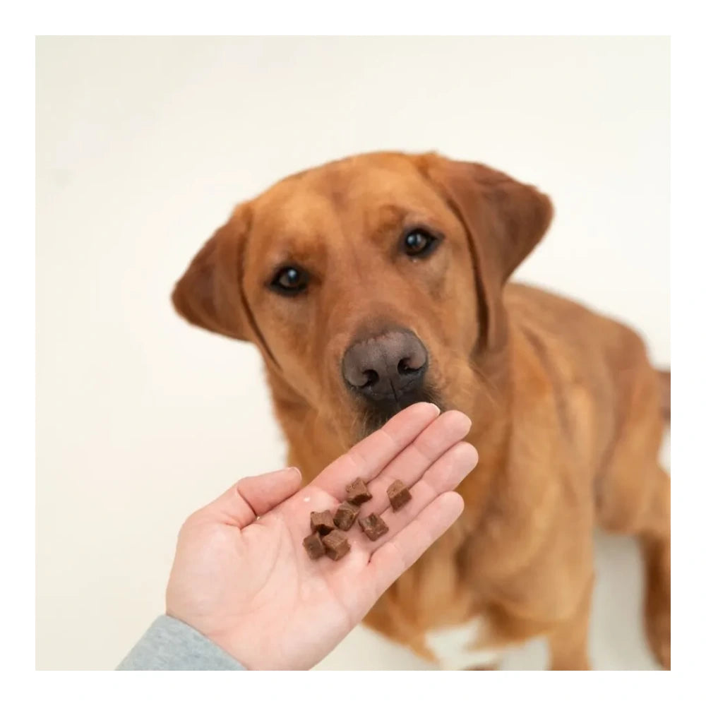 DOG'S LOVE Training Treats Ente 150g