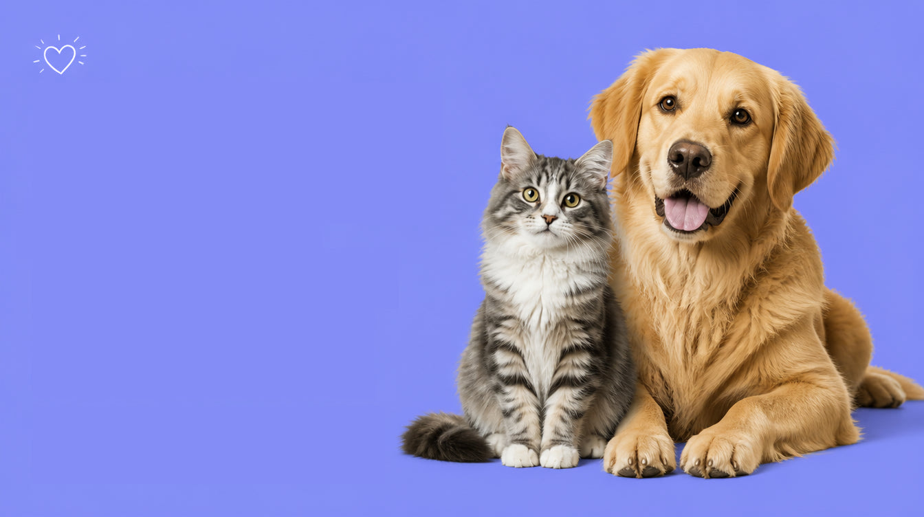 Happy Pets,Happy Life.