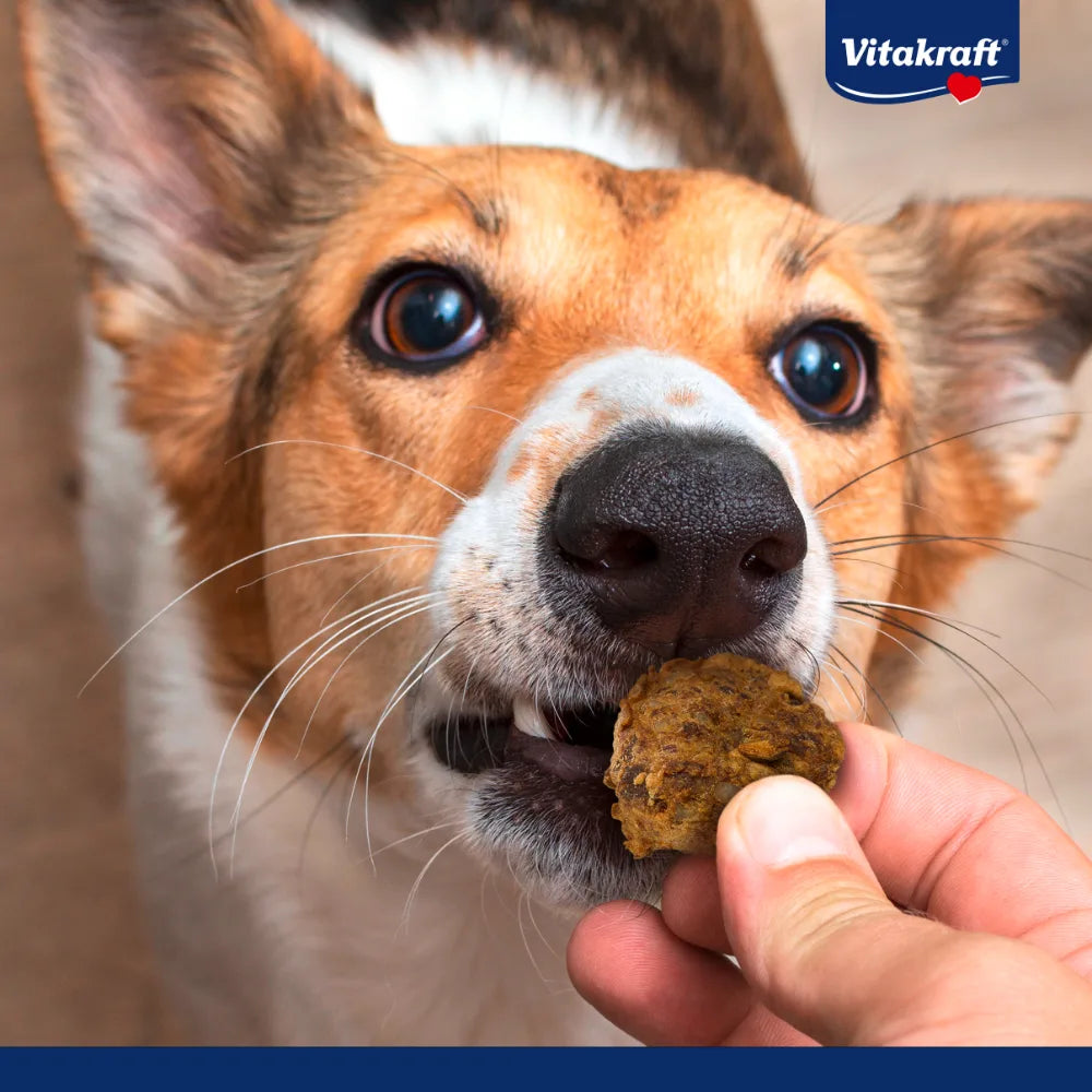 Vitakraft Meat Balls 80g
