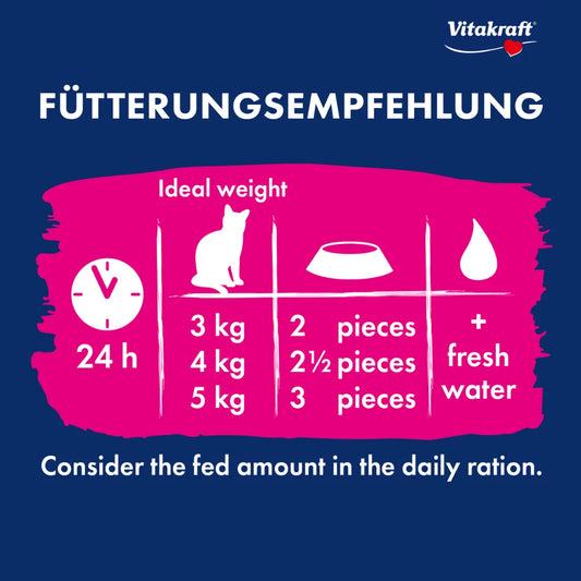 Vitakraft Liquid Snack Multipack Leberwurst + Lachs 16x15g