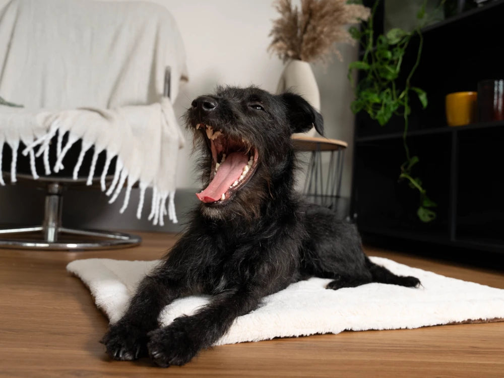 TrendPet Relax Braun