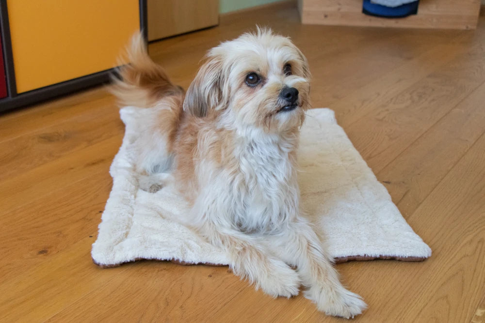 TrendPet Relax Braun