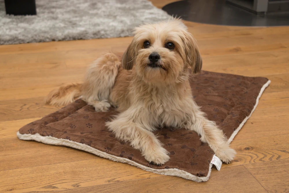 TrendPet Relax Braun
