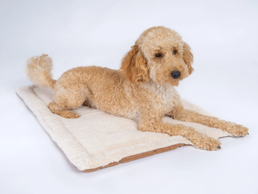 TrendPet Relax Braun