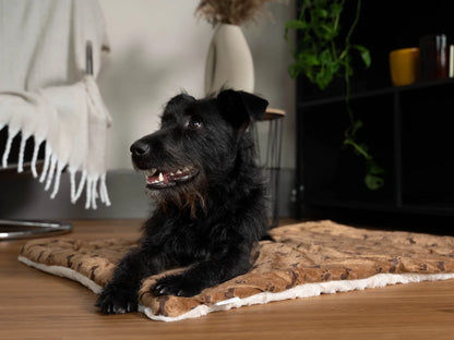 TrendPet Relax Braun
