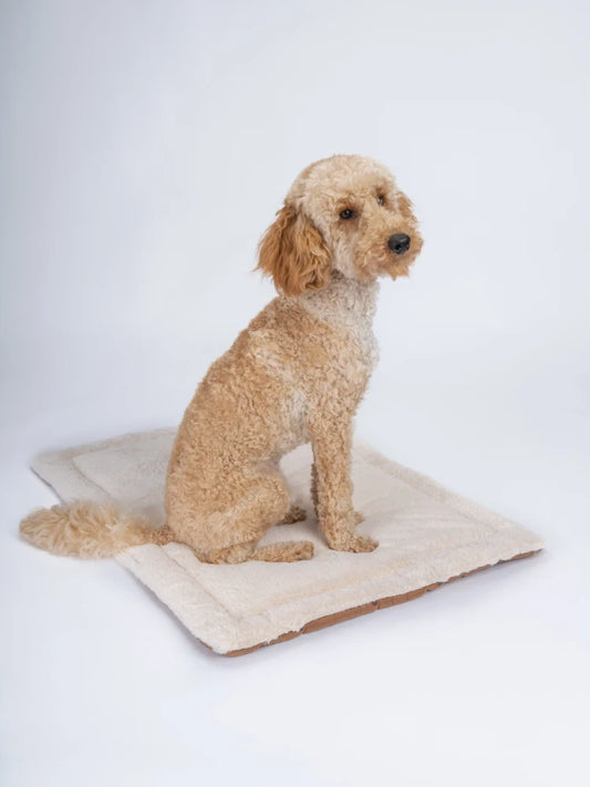 TrendPet Relax Braun