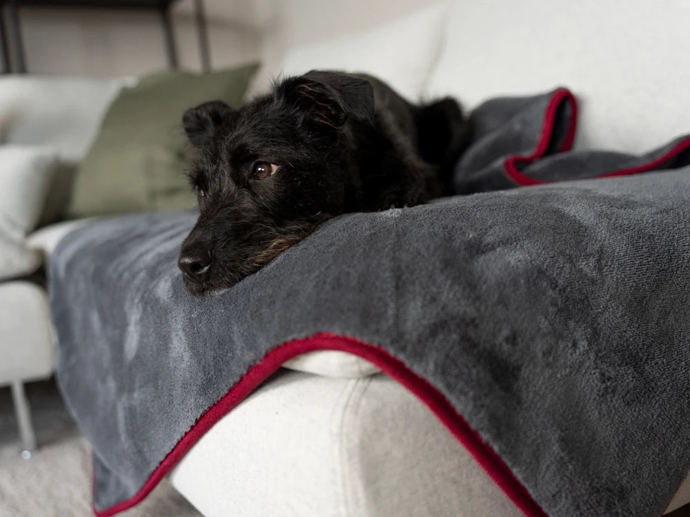 TrendPet Ruby Grau