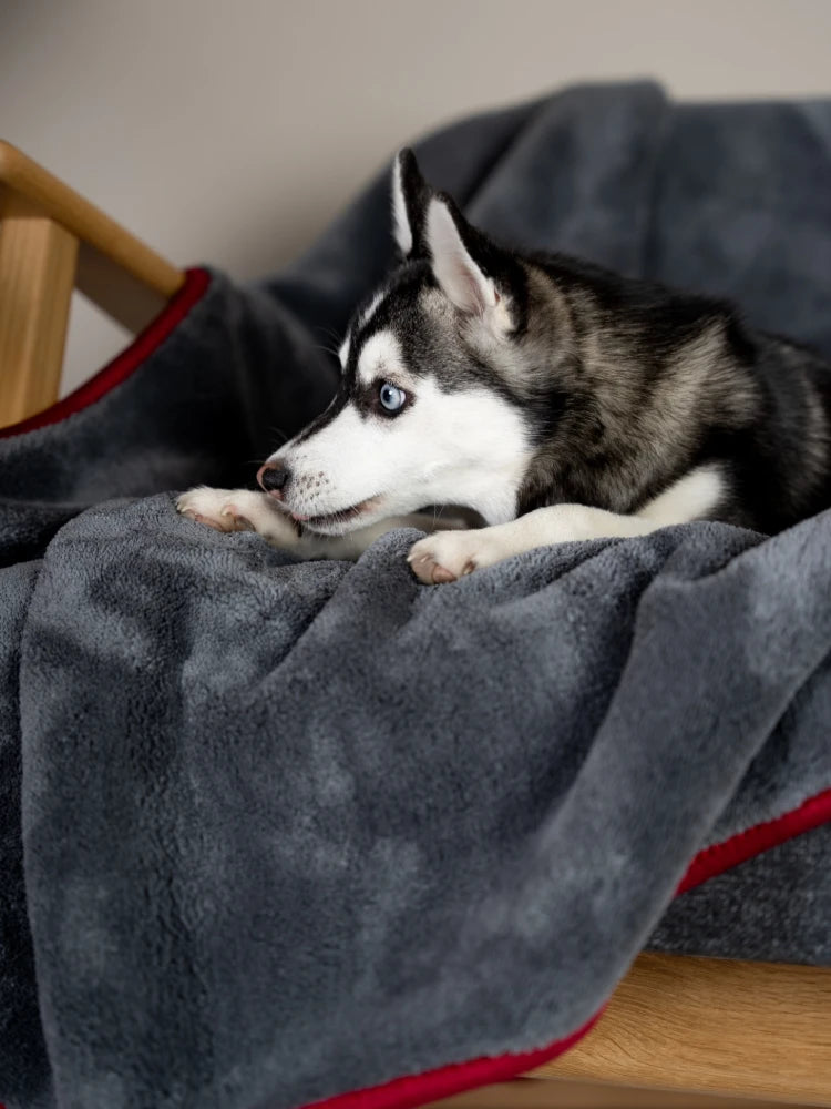 TrendPet Ruby Grau