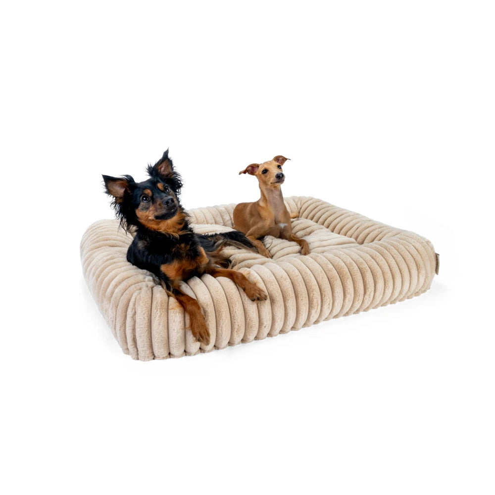TrendPet Biscuit Cube Caramel