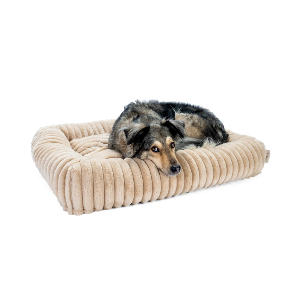 TrendPet Biscuit Cube Caramel