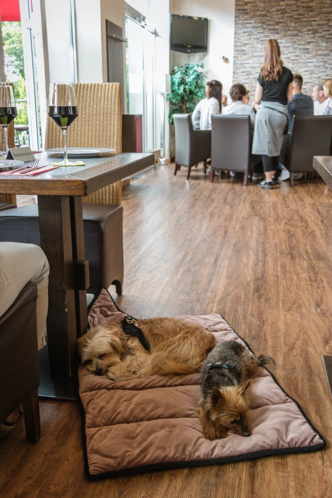 TrendPet Meine Restaurantdecke Altrosa kariert