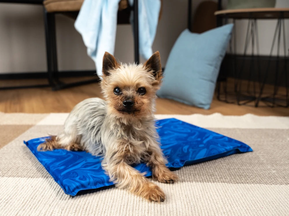 TrendPet Arctic Comfort Kühlmatte Blau gemustert