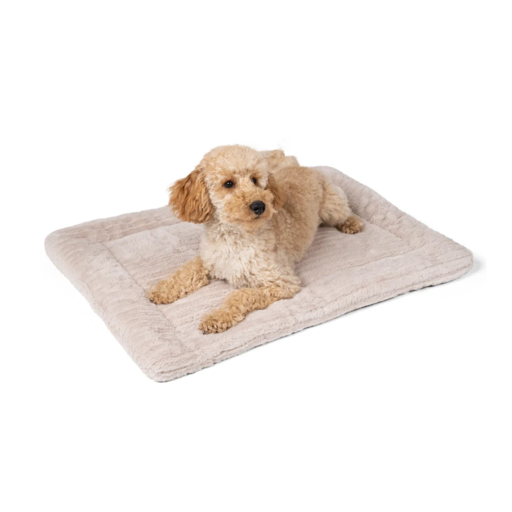 TrendPet Harmony Creme
