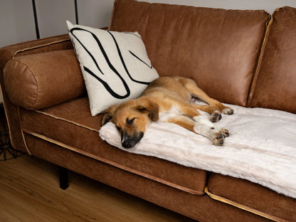 TrendPet Harmony Creme