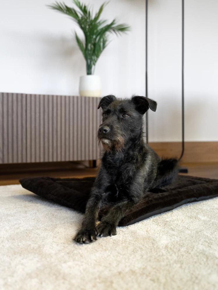 TrendPet Harmony Flex Braun