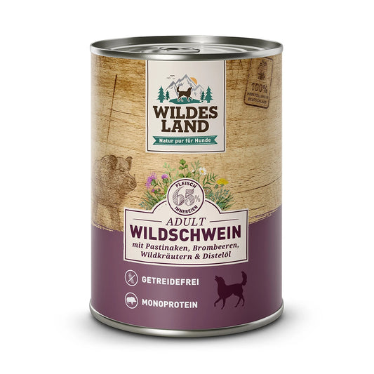 Wildes Land Wildschwein mit Pastinake