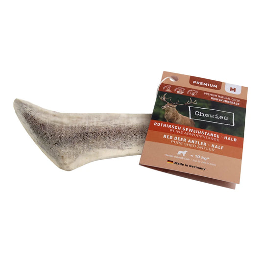 Chewies Rothirsch-Geweihstange halb