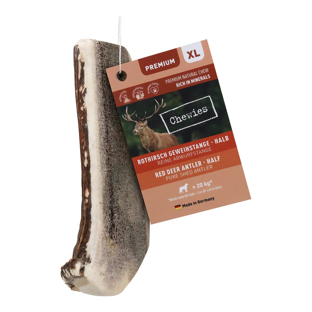 Chewies Rothirsch-Geweihstange halb