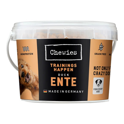 Chewies TRAININGSHAPPEN Ente