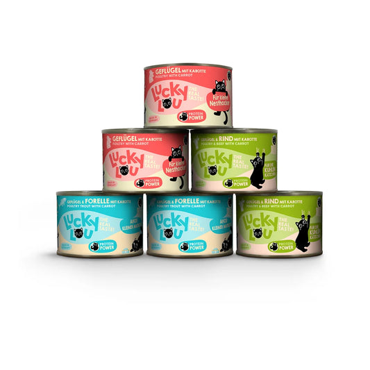 Lucky Lou Lifestage Kitten Multipack