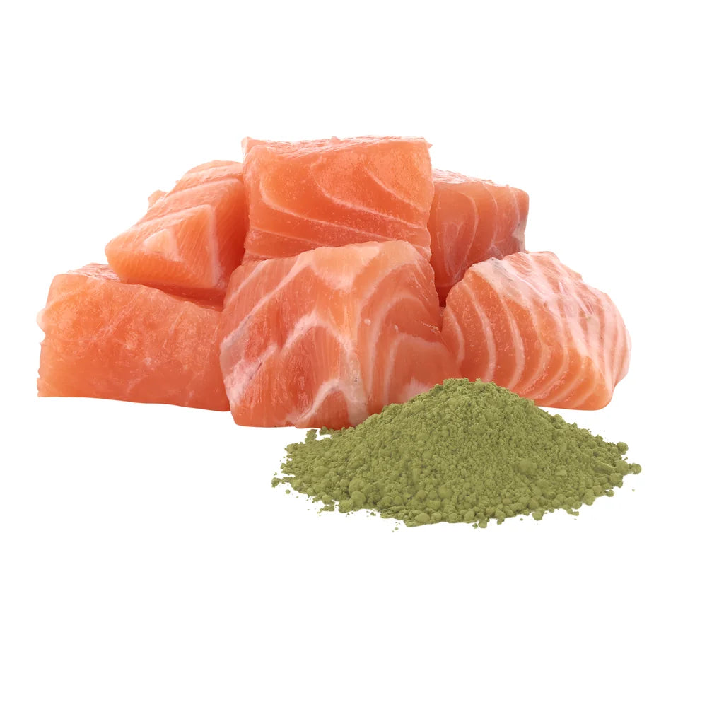 Pawsome Adult Lachs 85g