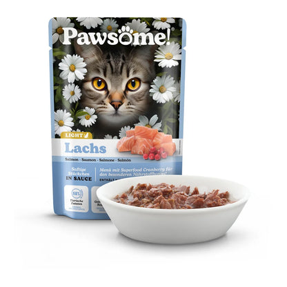 Pawsome Adult light Lachs 85g