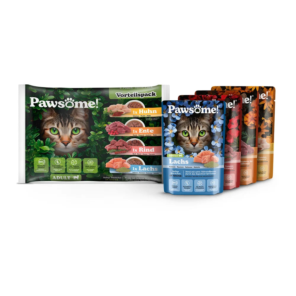 Pawsome Mixpack 4x85g