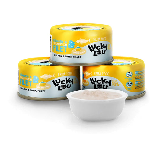 Lucky Lou EXTRA FOOD Broth-Mix-Box 12x70g