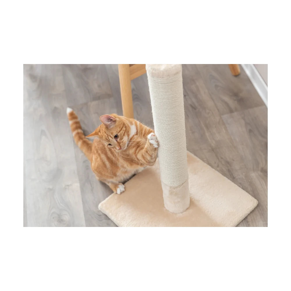 TRIXIE Kratzstamm Batres, 62cm, beige