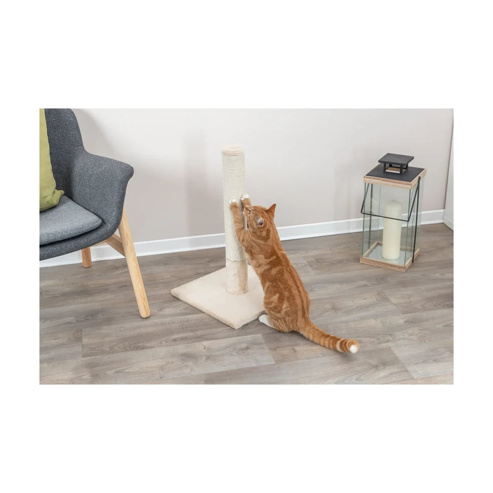 TRIXIE Kratzstamm Batres, 62cm, beige