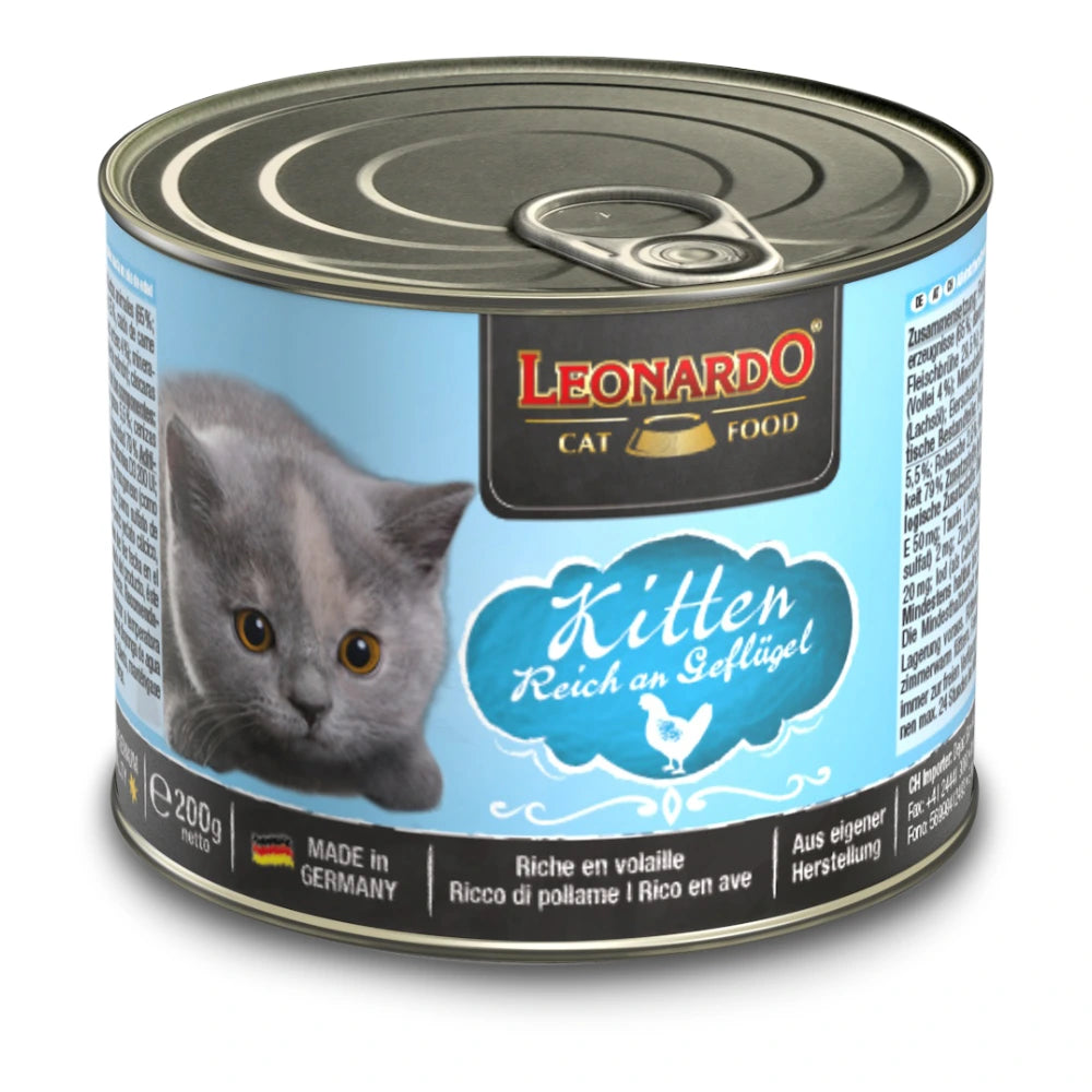 Leonardo® Kitten