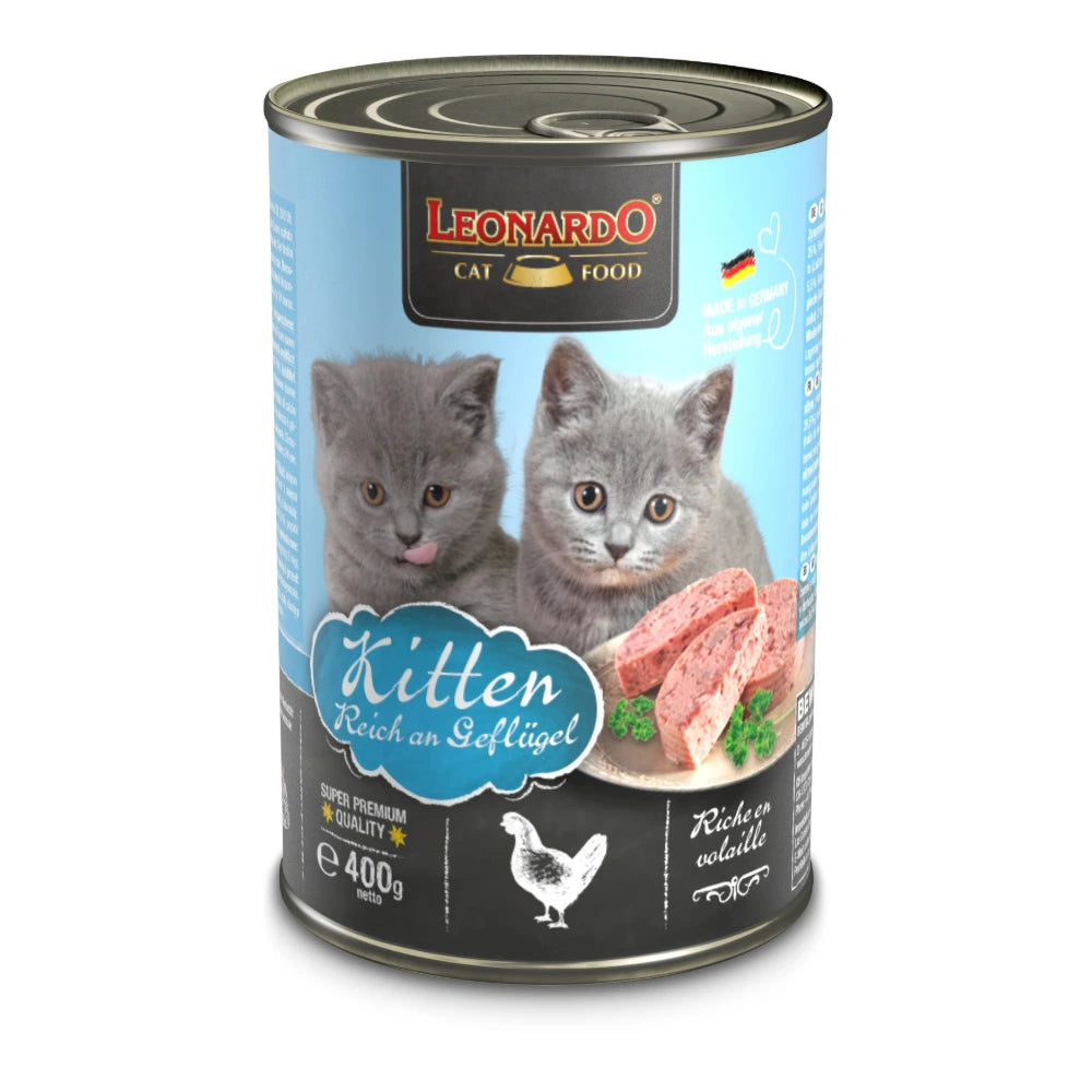 Leonardo® Kitten
