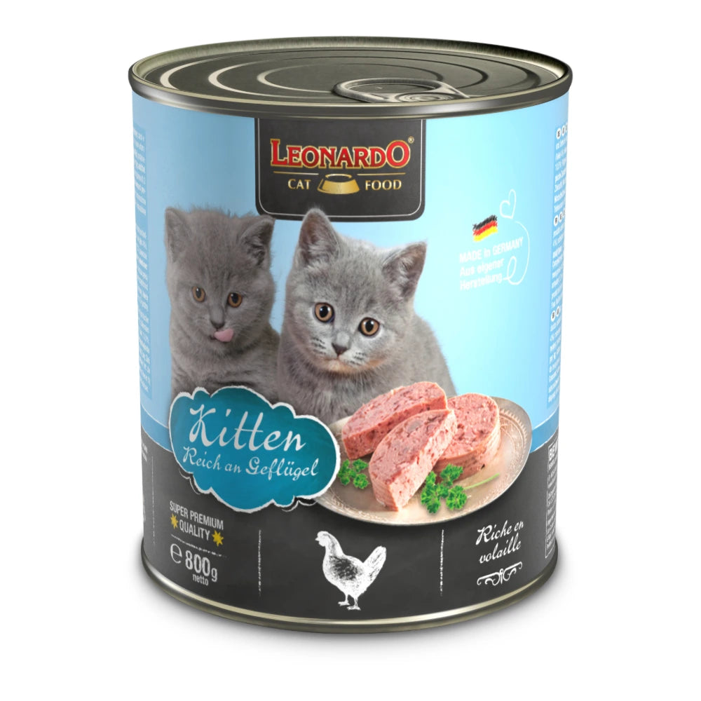 Leonardo® Kitten