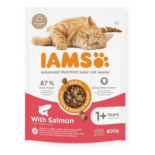 IAMS Trockenfutter Adult mit Lachs 800g