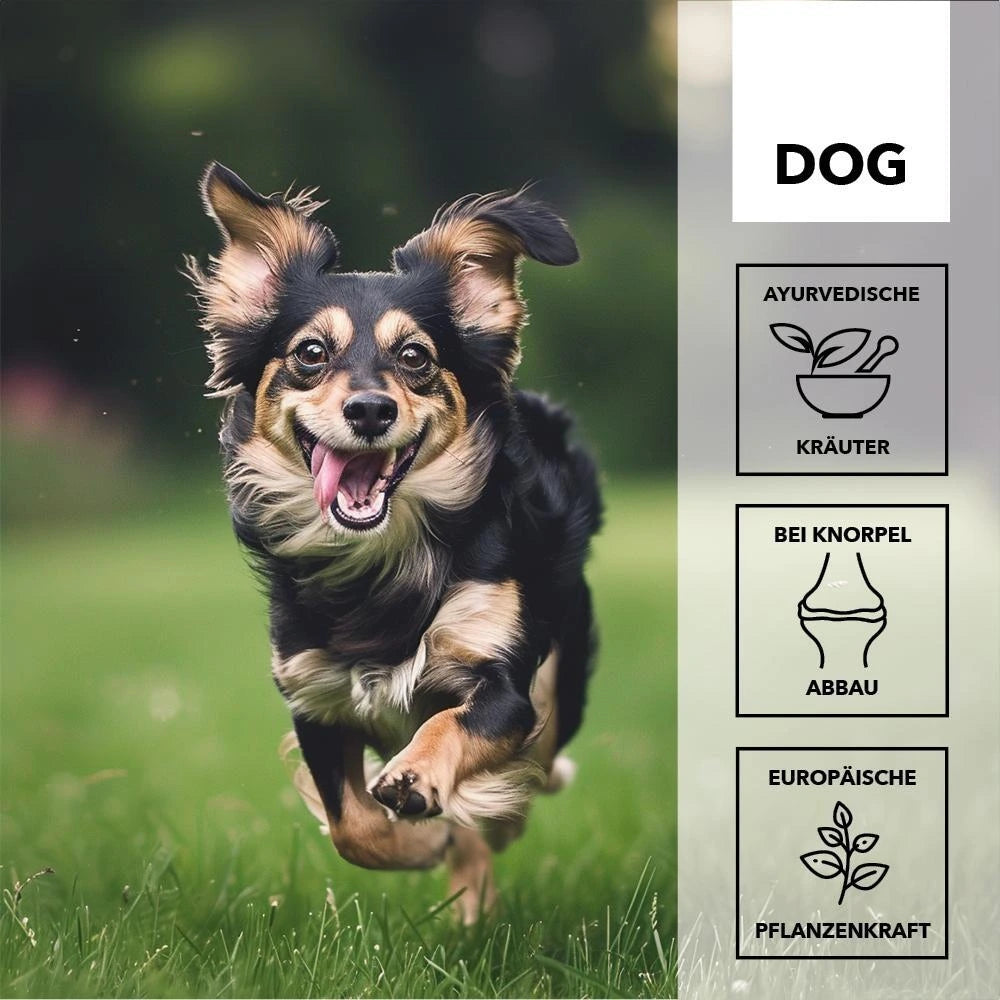 Herosan entoVITAL DOG move 80g