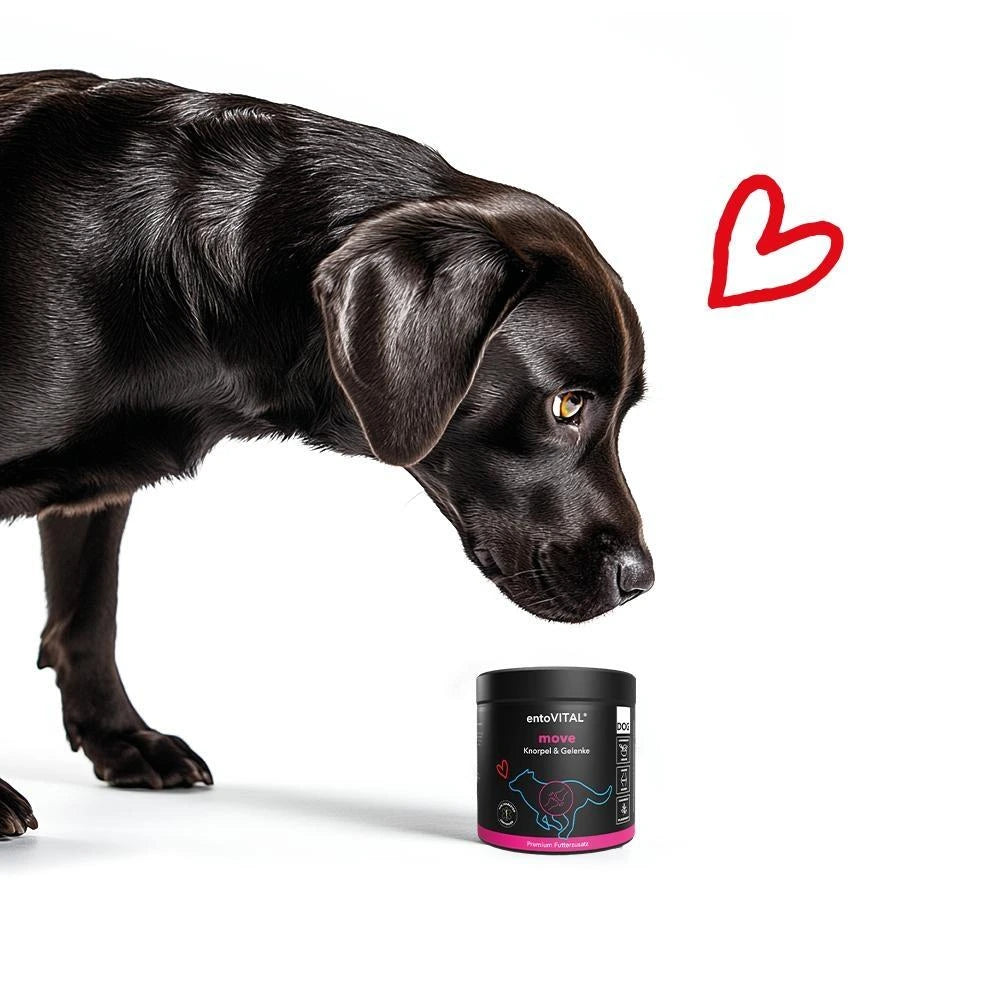 Herosan entoVITAL DOG move 80g