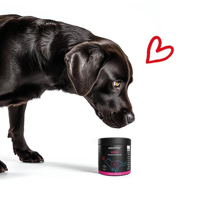 Herosan entoVITAL DOG move 80g