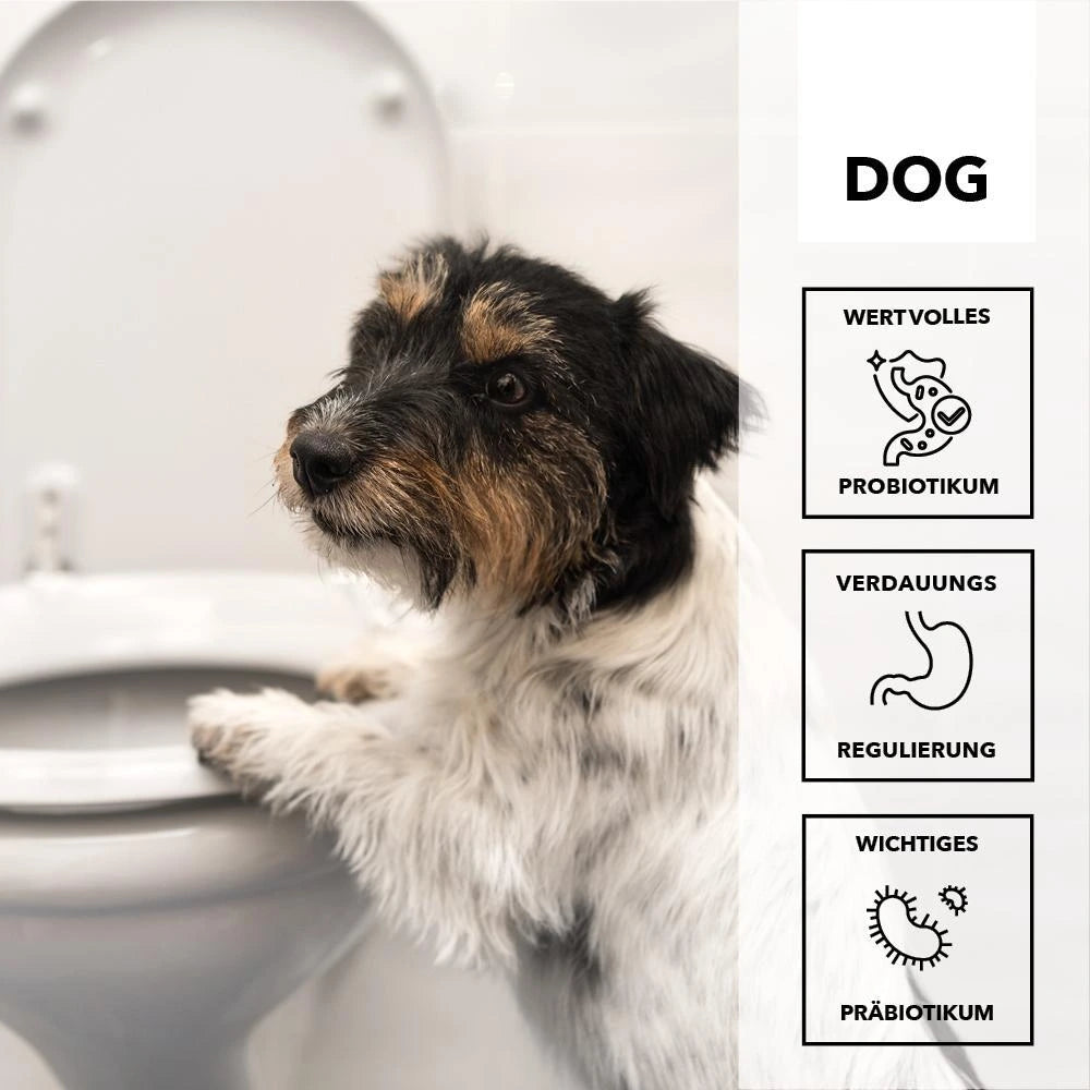 Hersoan entoVITAL DOG stop&GO 80g