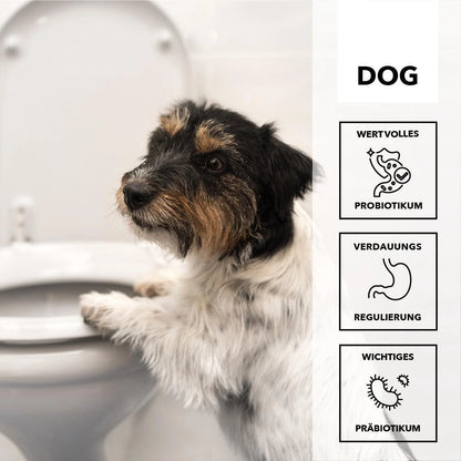 Hersoan entoVITAL DOG stop&GO 80g