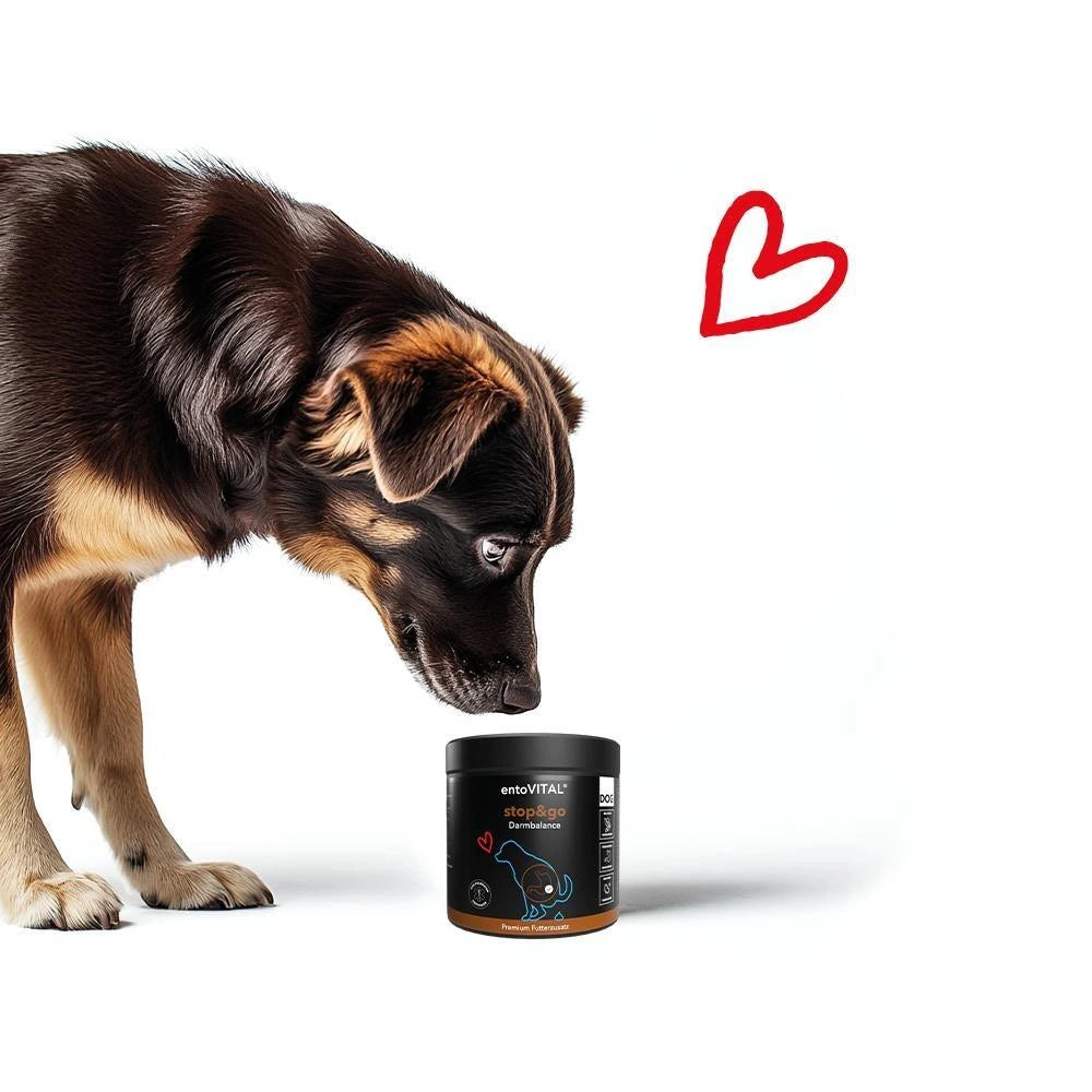 Hersoan entoVITAL DOG stop&GO 80g